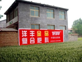 保康如何让墙体广告展现最大化效果