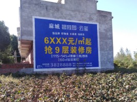 保康品牌公司青睐的墙体广告