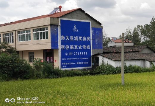 保康决定墙体广告价格的因素有哪些?