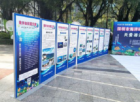 保康KT板的种类和知识。